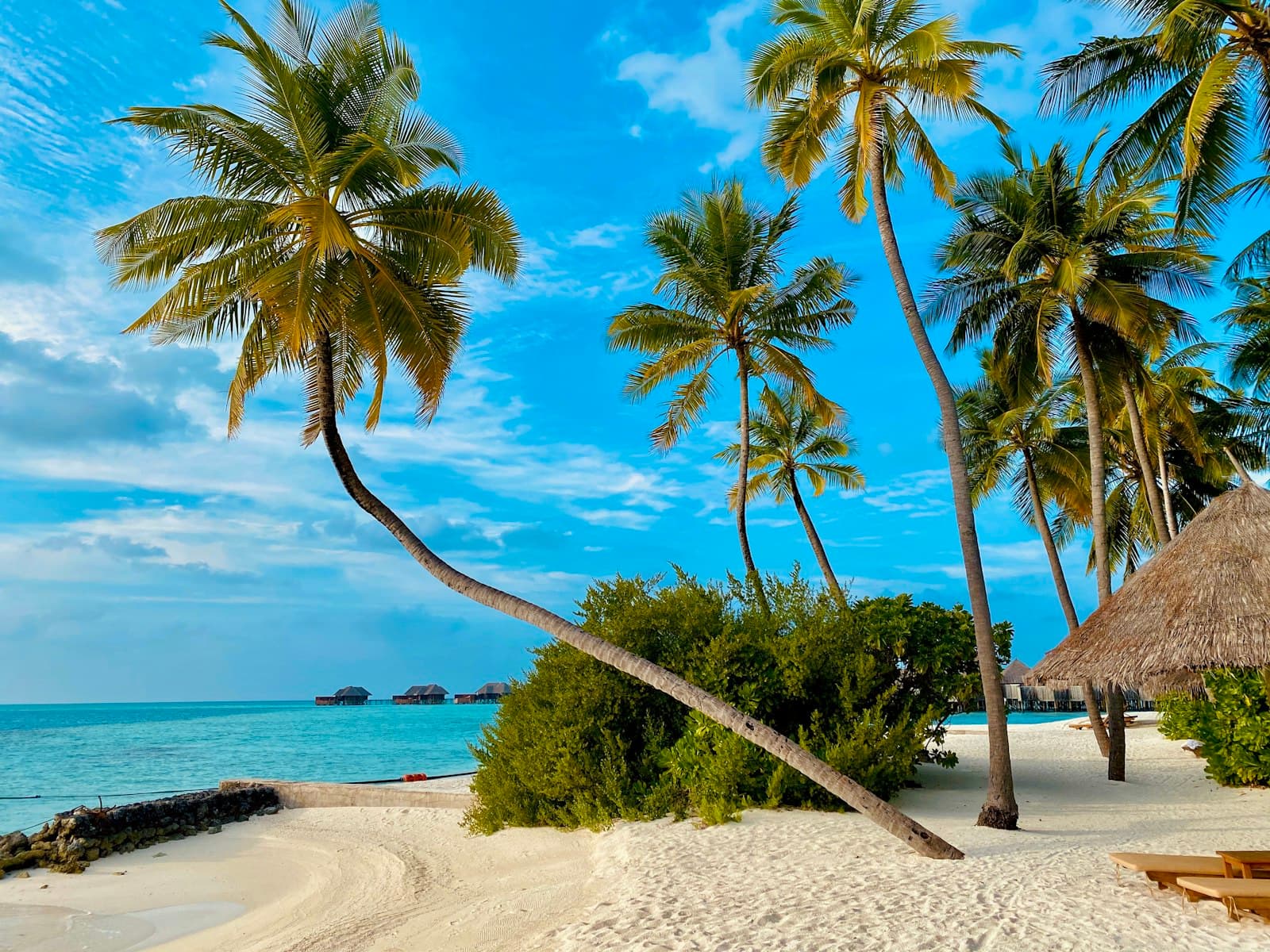 Coral Island